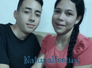 naturalfeeling Archive DVD BIZ