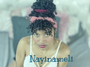 Nayinameli