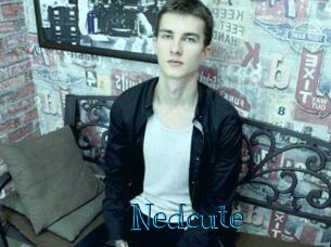 Nedcute