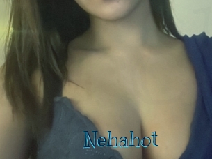 nehahot Archive DVD BIZ