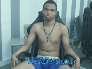 Neithanguns