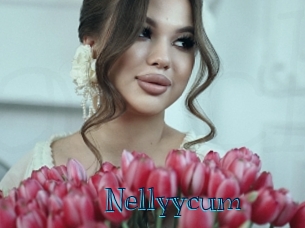nellyycum Archive DVD BIZ