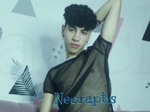 neoraptis Archive DVD BIZ