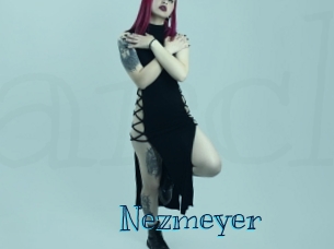 nezmeyer Archive DVD BIZ