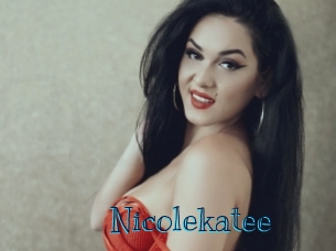 nicolekatee Archive DVD BIZ