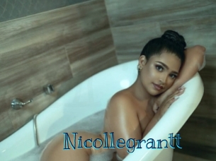 nicollegrantt Archive DVD BIZ