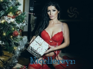 nicollereyn Archive DVD BIZ
