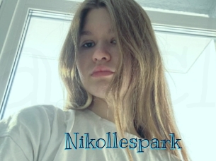 nikollespark Archive DVD BIZ