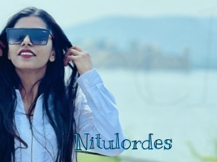 nitulordes Archive DVD BIZ
