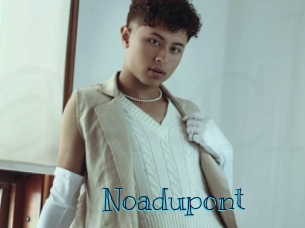 noadupont Archive DVD BIZ