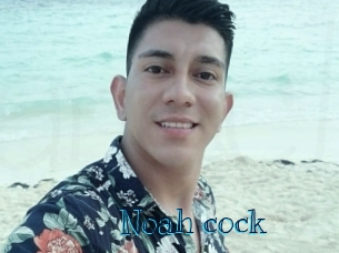 noah_cock Archive DVD BIZ