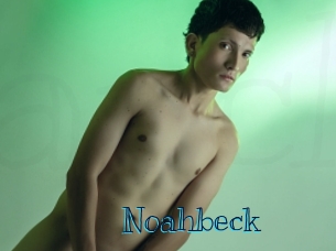 noahbeck Archive DVD BIZ