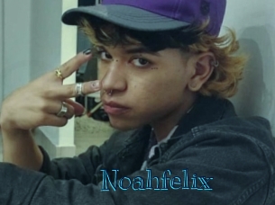 noahfelix Archive DVD BIZ