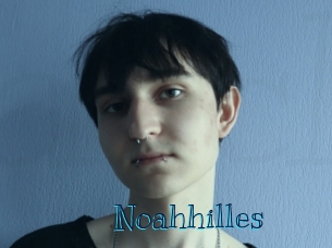 noahhilles Archive DVD BIZ