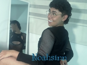noahsinn Archive DVD BIZ