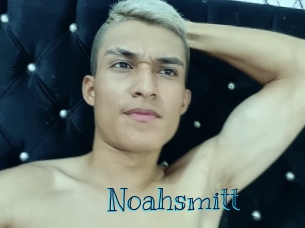 noahsmitt Archive DVD BIZ
