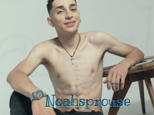 Noahsprouse