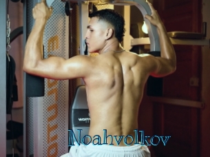 noahvolkov Archive DVD BIZ