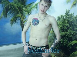 Noakarter
