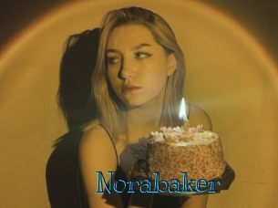 norabaker Archive DVD BIZ