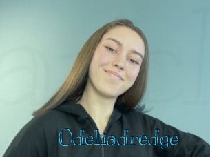 Odeliadredge