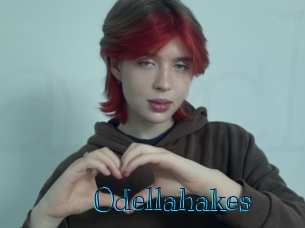 Odellahakes