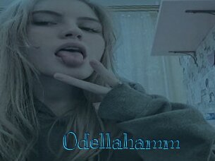 Odellahamm