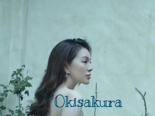 okisakura Archive DVD BIZ