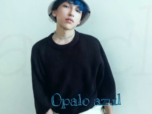 opalo_azul Archive DVD BIZ