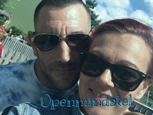 Openmindstel