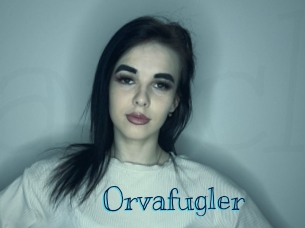 Orvafugler