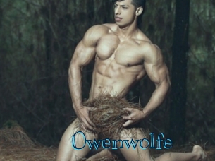 owenwolfe Archive DVD BIZ