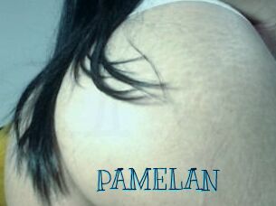 PAMELA_N