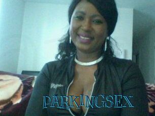 PARKINGSEX Archive DVD BIZ