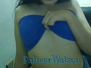 PalmerWatson