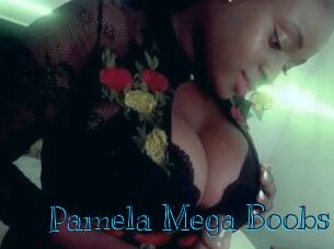 Pamela_Mega_Boobs