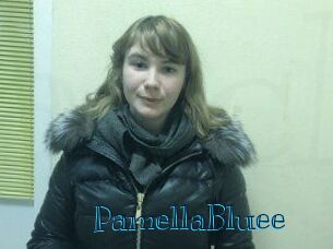 PamellaBluee Archive DVD BIZ