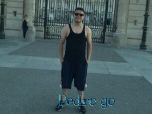 Pedro_go