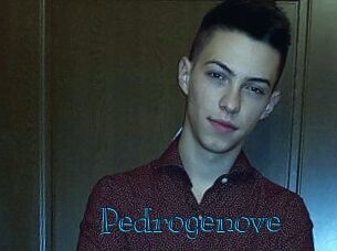 Pedrogenove