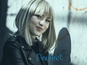 Perfect Archive DVD BIZ