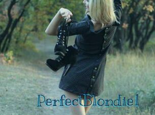 PerfectBlondie1