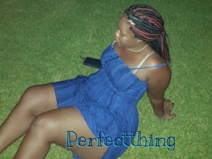 Perfectthing Archive DVD BIZ