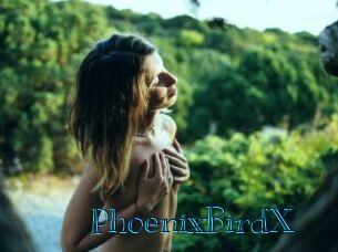 PhoenixBirdX Archive DVD BIZ