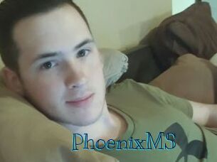 PhoenixMS