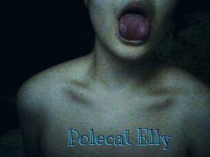Polecat_Elly
