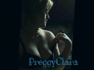 PreggyClara Archive DVD BIZ