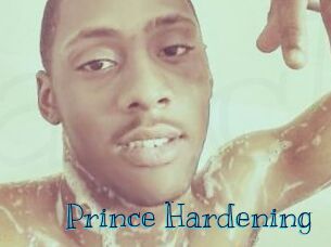 Prince_Hardening Archive DVD BIZ
