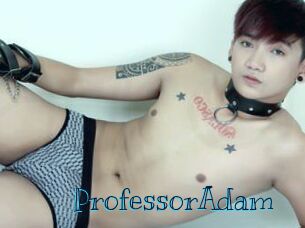 ProfessorAdam