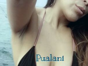 Pualani Archive DVD BIZ