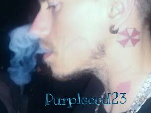 Purplecod23
